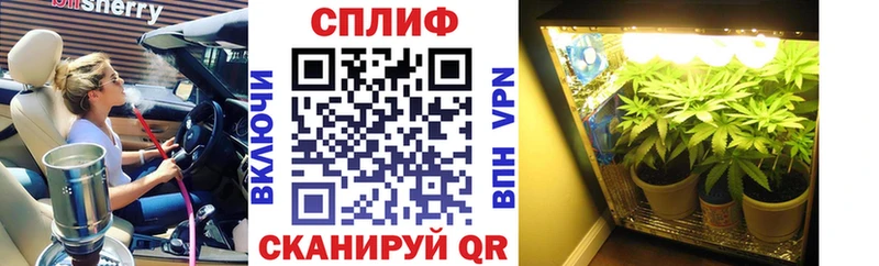 Цена Снежинск Альфа ПВП  Меф мяу мяу  мега вход  Канабис  Псилоцибиновые грибы 