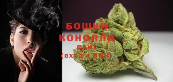 ГАЛЛЮЦИНОГЕННЫЕ ГРИБЫ Инта