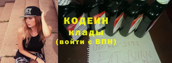 МДПВ Иннополис
