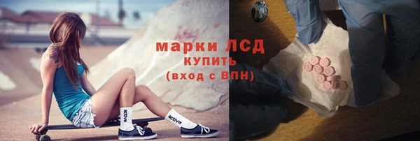 ГАЛЛЮЦИНОГЕННЫЕ ГРИБЫ Инта