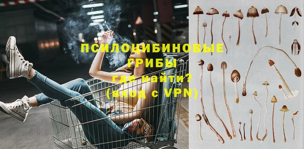 МДПВ Иннополис