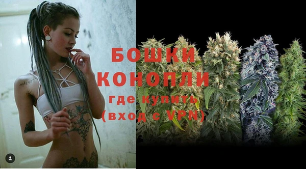 сатива Зеленодольск