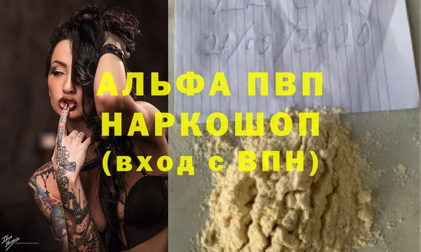 хмурый Нестеровская