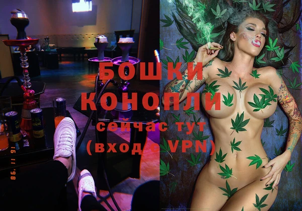 ГАЛЛЮЦИНОГЕННЫЕ ГРИБЫ Инта