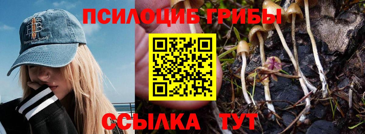 сколько стоит  Псилоцибиновые грибы мухоморы  Псилоцибиновые грибы Psilocybe  Вход с VPN  Снежинск 